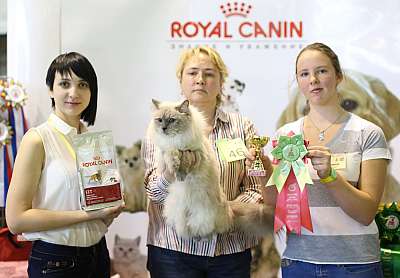 �������� �����  18-19 ������� 2014 ������������ ��� 3-46-169A3869 copy.jpg